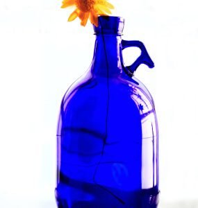 Savaitės stovykla vaikams